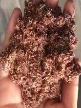 德赢·(VWIN)官方网站-AC米兰官方相助同伴